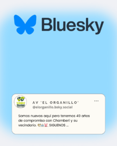 AV El Organillo